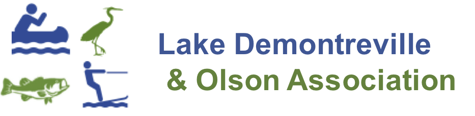 Lake Demontreville and Olson Association